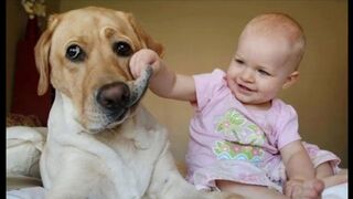 Funny Babies Laughing Hysterically at Dogs