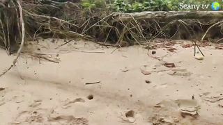 TRY NOT TO LAUGHING I Best Funny Videos Compilation 2023 # 194