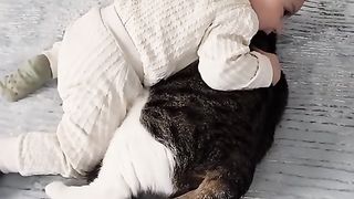КОТКИ И ДЕЦА