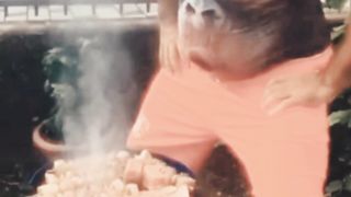 the man is cooking II লোকটি রান্নাতে হাওয়া দিচ্ছে