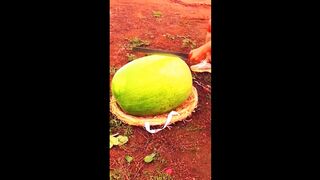 Awesome Video #2