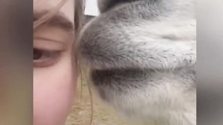 Funny- Video-Compilation