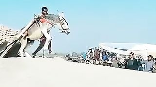 Donkey ???? race