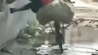 Ngakak Jang ketawa