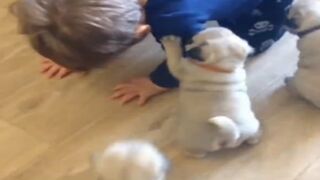 Best funny video 48