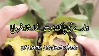 Health Hamray_Nabi_Pak_SAW_Ke_5_Khubsorat_Ahadees_#shotrs_#youtubeshorts(480p).