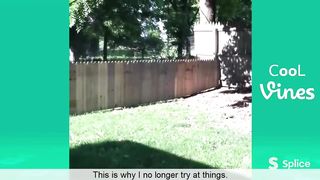 Funny Animal Video #22