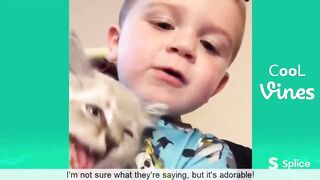 Funny Animal Video #28