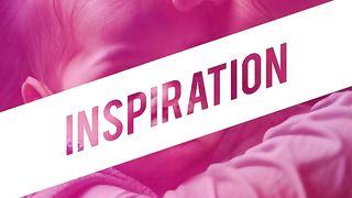 Inspiration Daily