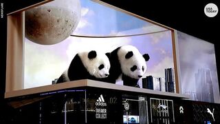 Panda 3D billboard in china