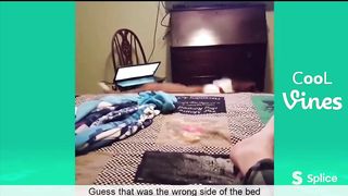 Funny Animal Video #29
