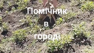 ИДИЛИЯ 2