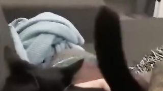 Interesting animals here!