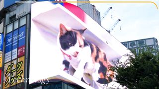 Giant 3D cat on Tokyo billboard dazzles passersby