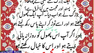 Pasand Aur Mohabbat.#world in focus #@sarifali