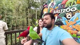 Elephant Ne Humein Shadi Ka Haar Pehna Diya ???? | Scary Elephant Ride In Water ????