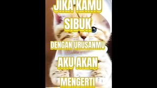 Storyku 49