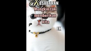 Storyku 50