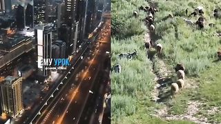 ЗА ЛИЧНИЯ ПРИМЕР