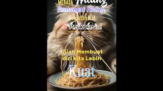 Storyku 53