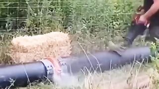 Don't try this