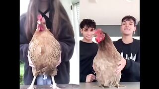 USA Vs INDIA Tik Tok #1