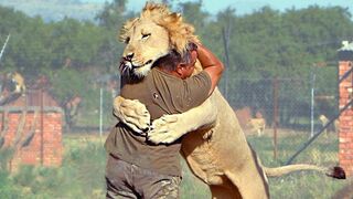 Funniest Animals | Funny Dog And Cat | Funny Animals
