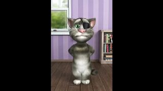 Cat comedy video