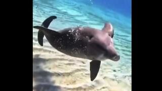 Child of the Sea