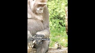 Storyku 54