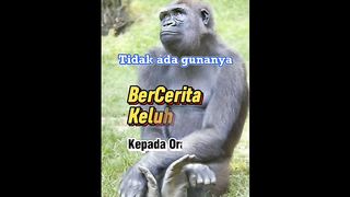 Storyku 56