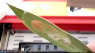 Ces machines de marquage laser gravent votre photo sur les feuilles.