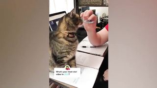 enterainment compilation 6
