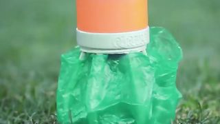 Quelques solutions de crotte de chien pour les propriétaires d'animaux de compagnie.
