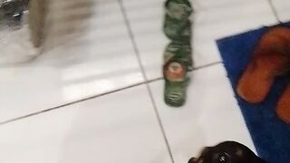 Meu pet