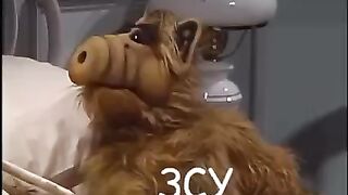ДОБРОЕ РАНКУ
