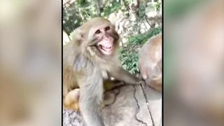 Entertainment compilation