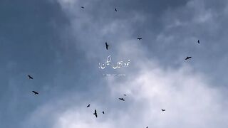 Poetry 277