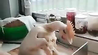 Poor chicken