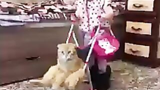 Cute baby nd cute cate