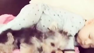 Crezy ???? cates