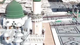 Hara gumbat jo dekho gay