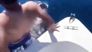 Amazing Video Dolphin