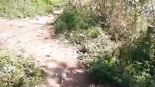 korang river Bhara kahu/Ialamabad pakistan/sohailT22vlog