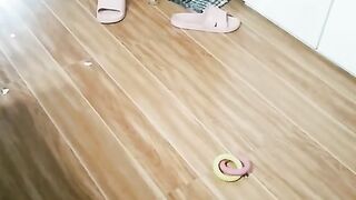 Cute Dog 3