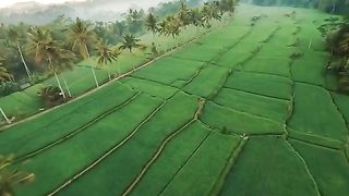 Magic view 2