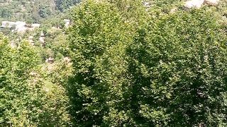 صبح بخیر 6