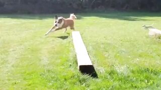 so funny when the switched