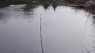 FISHING   001