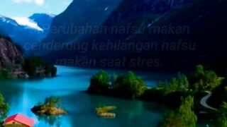 Fakta